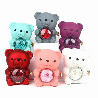 Eternal rose teddy bear with necklace in rotating jewelry box