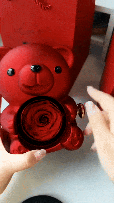 Eternal Rose Teddy Bear gift with necklace and rotating jewelry box