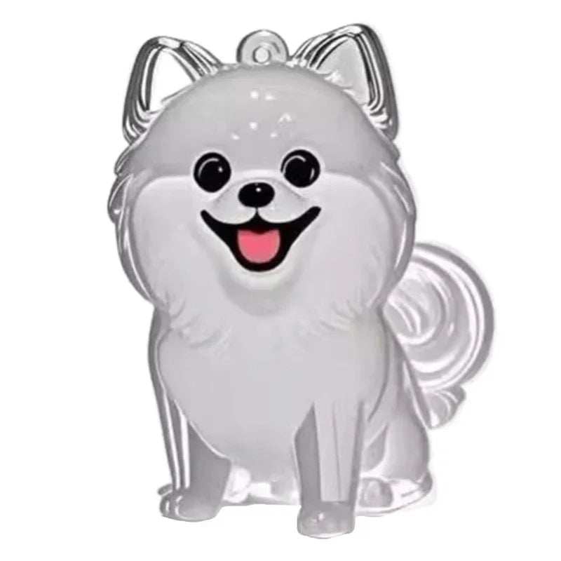 Pet hair keychain memorial accessory with transparent capsule